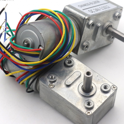 High Torque 6V 12V 24V motor controller brushless worm gear dc motor